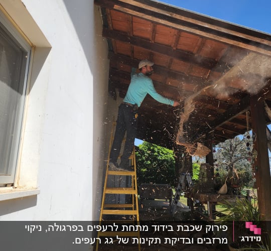 אדם על סולם צהוב מתקן גג עץ